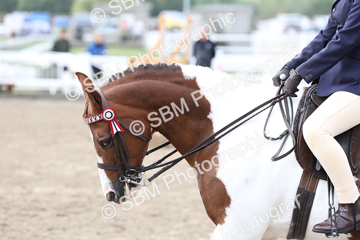SBM_01511 - Class 52 - Ridden Veteran