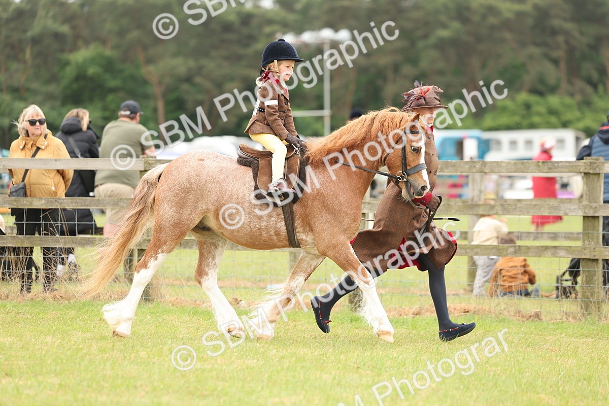 SBM_06730 - Class 74-75 - M&M Lead Rein and First Ridden Pony