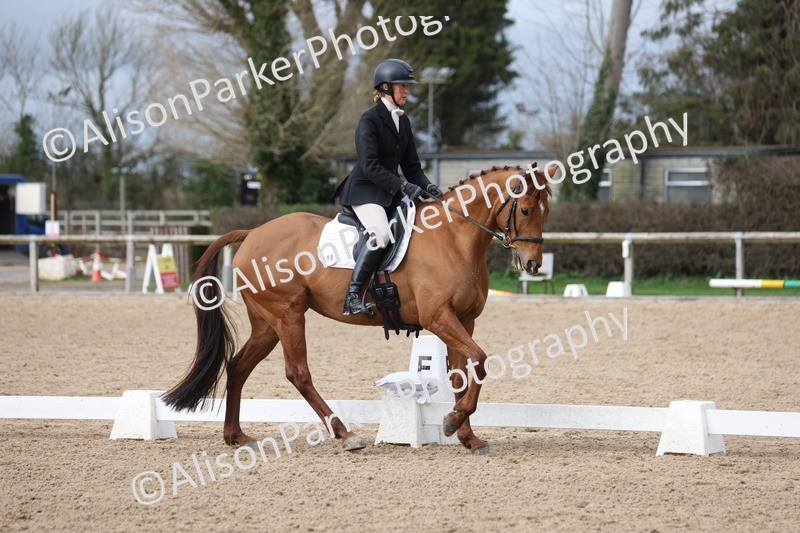 20260301-0528 - Class 4 - Novice 5