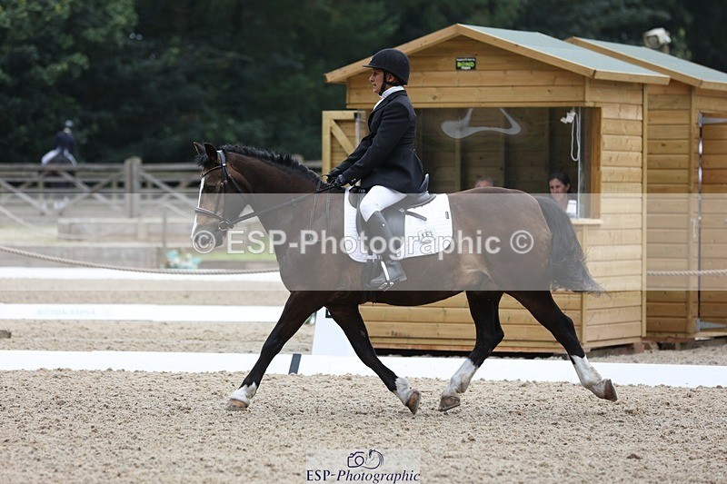 230812-102216-03206 - Cls 5 Novice Bronze Start to 10.55 break