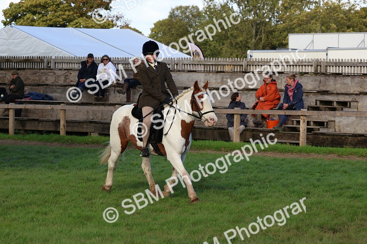 SBM_52564 - S13 - Pony Club Pony