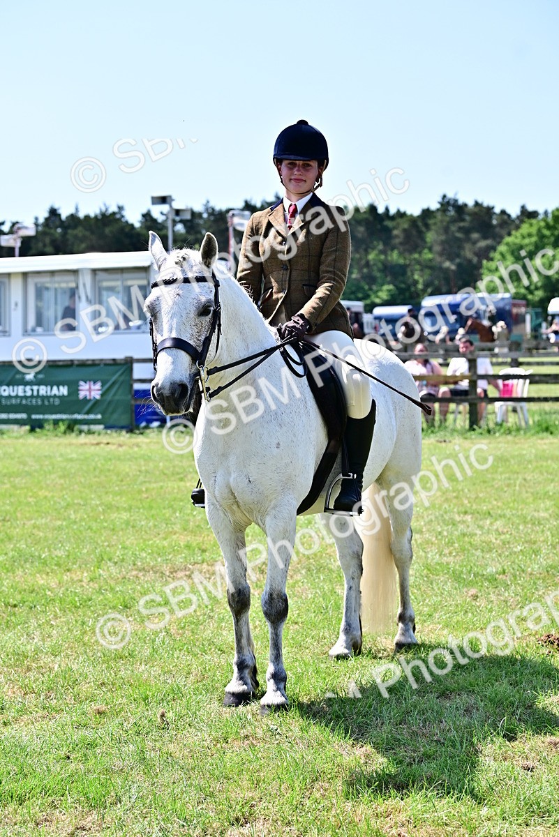 SBM_15315 - Class 95-97 - BSPS LHS Performance Ponies
