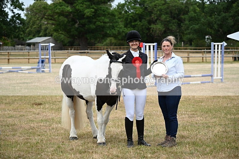 WJ6_4439 - Class 10 Coloured In-hand