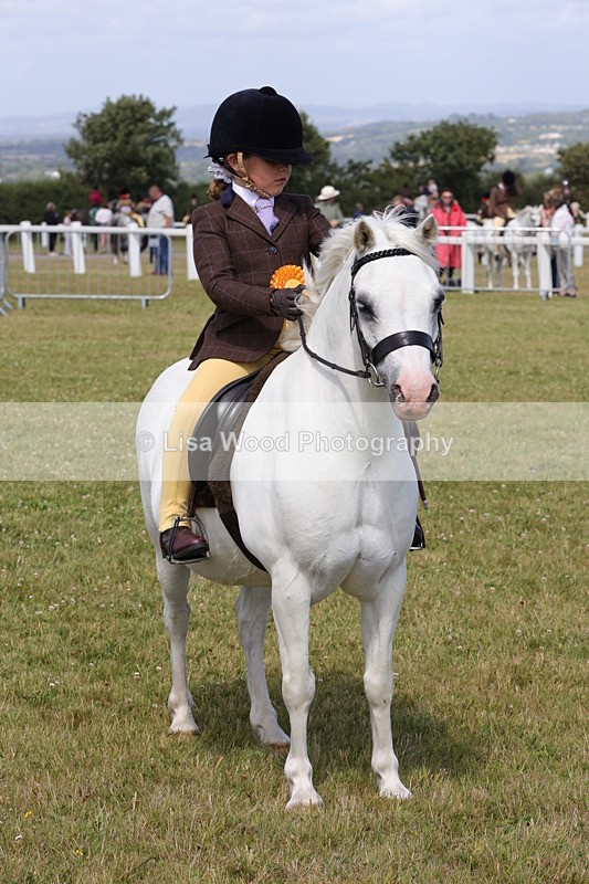 1X9A5454 - Class 37: NPS M&M First Ridden