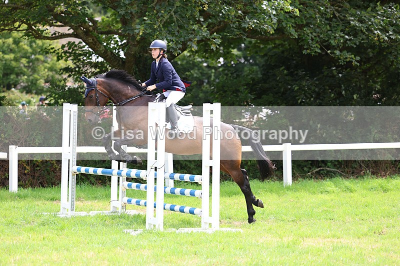 3E7A6947 - Class 5: Senior British Novice/90cm open