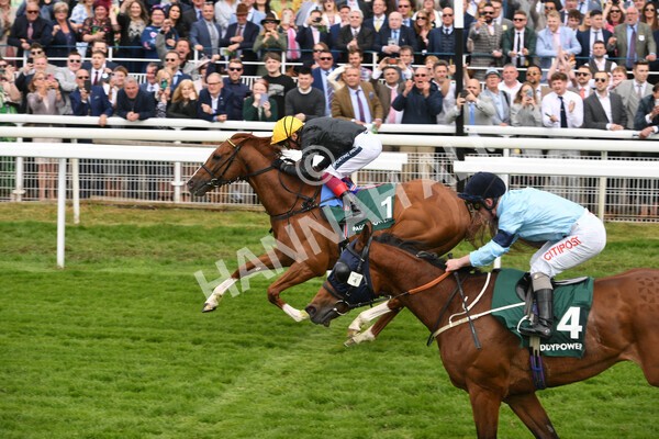 yr13052022r4-55 - Race 4 3.35pm The Paddy Power Yorkshire Cup (British Champions Series Race)