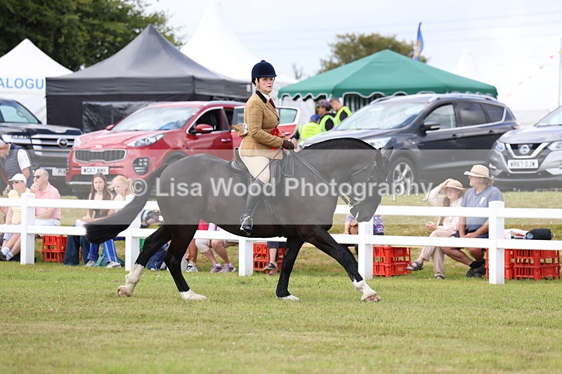 3E7A0512 - Rising Star Ridden Championship