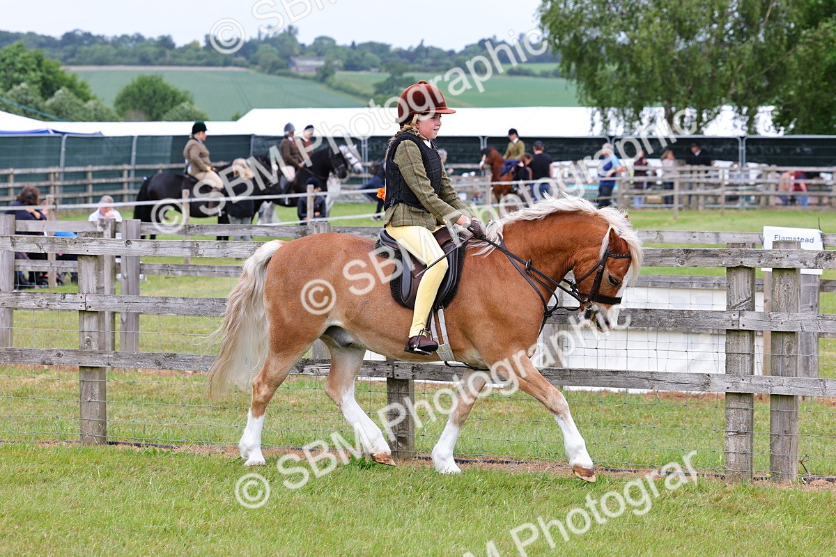 SBM_08539 - Class 42-43 - LIHS BSPS Heritage Working Sports Pony