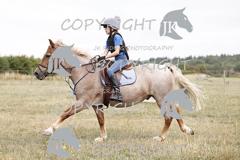 _R6A1508 - ABBY