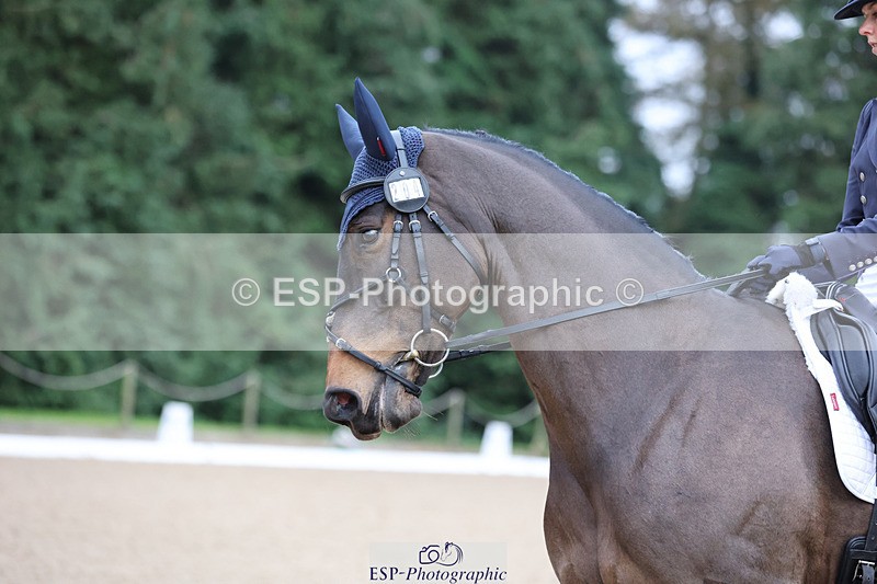 241024-092000-01257 - 204-Megan.Brown-METROPOLITAN.CLOVER