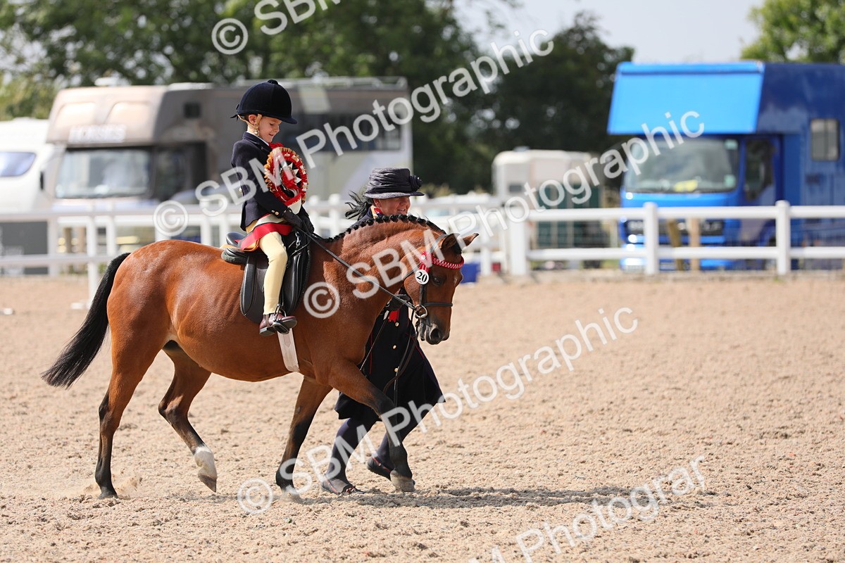 SBM_14125 - Class 309 Lead Rein Pony