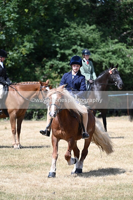 WJ7_3404 - Class 8 Ridden Veterans