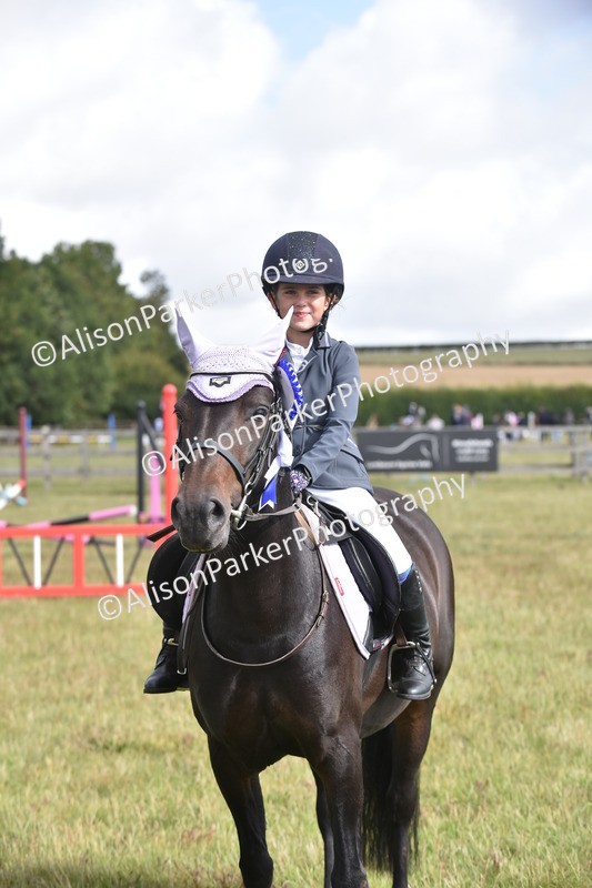 20250831-0503 - Class 7 - Absolute Novice 35cm