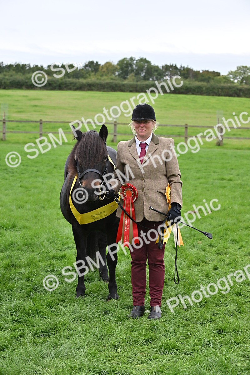 SBM_65037 - In Hand Pony & Younstock Supreme Championship