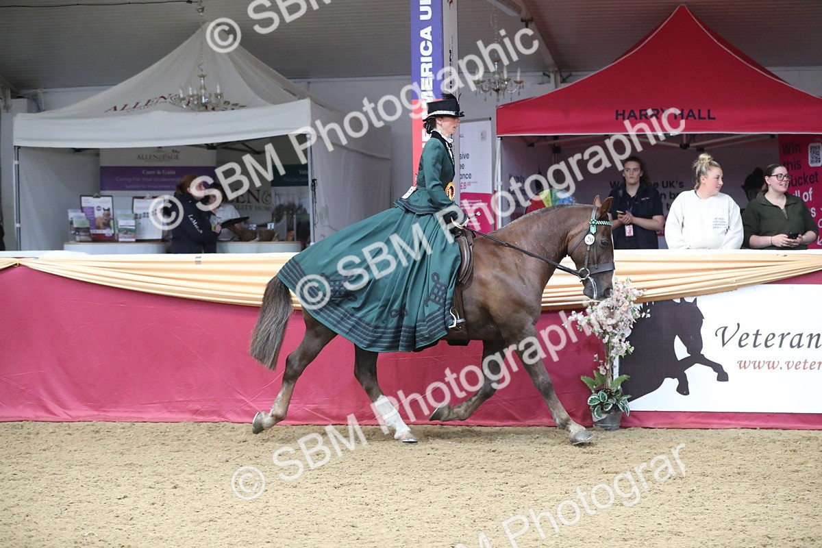 SBM_12224 - Class 107 Ridden Costume- Astride Adult (20+)