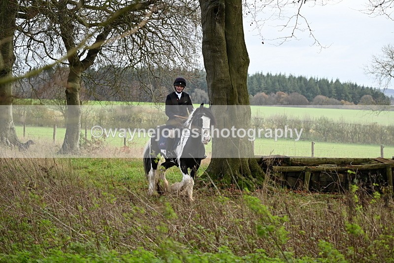 WJ6_1775 - Camera B
