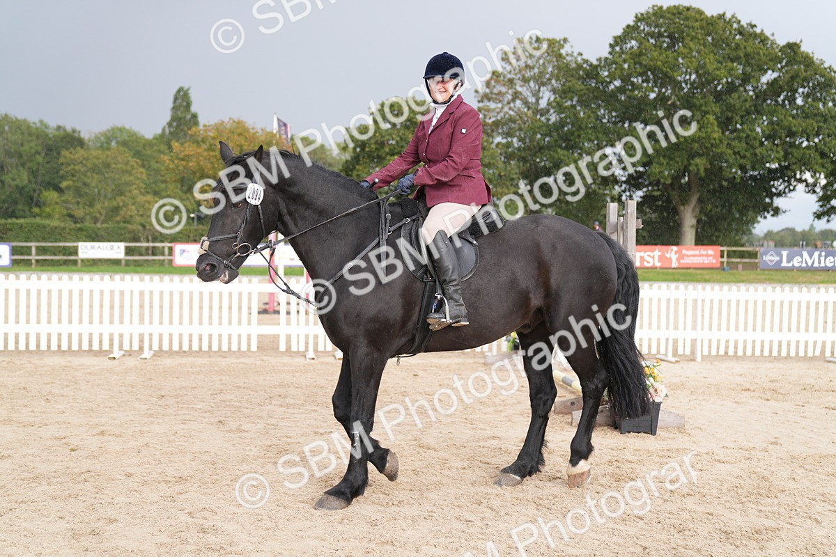 SBM_10428 - J37 Veteran 75cm Championship