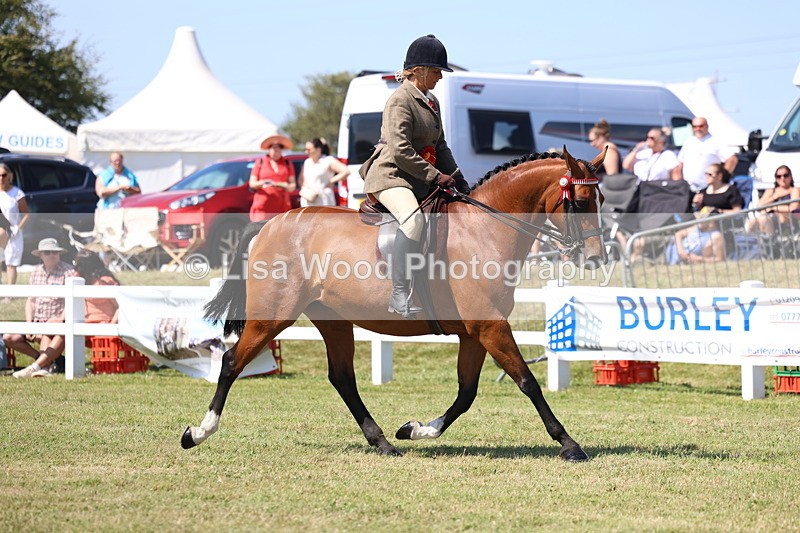3E7A7486 - Rising Star Ridden Championship