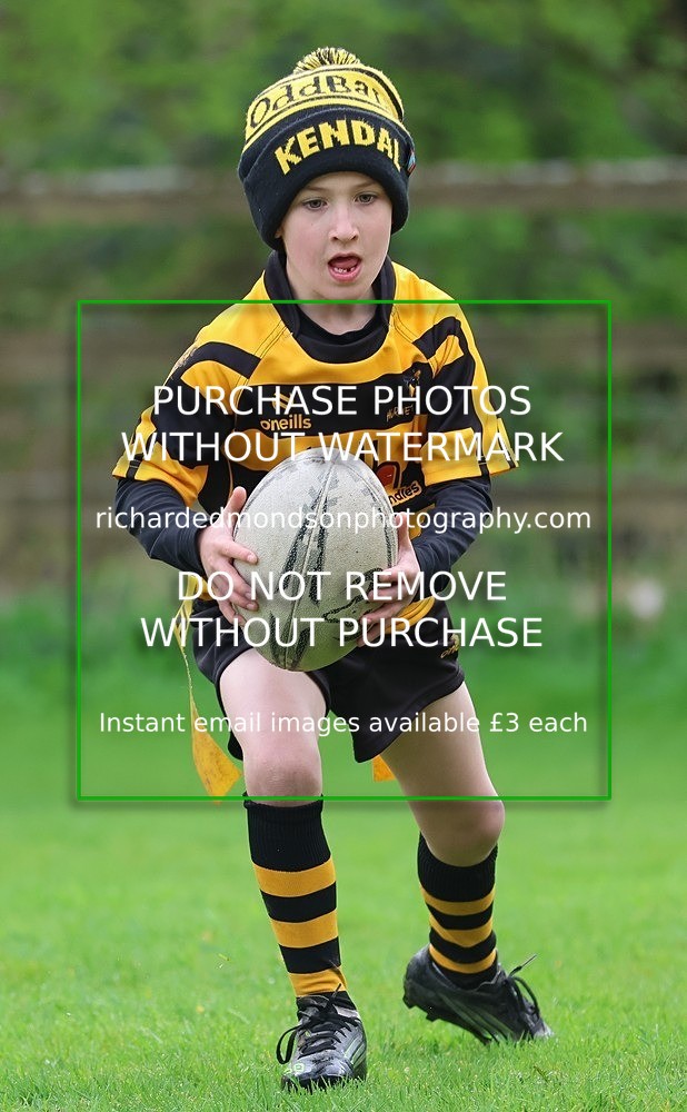 533A4885 - Kendal Rugby Under 7's (12/4/26)