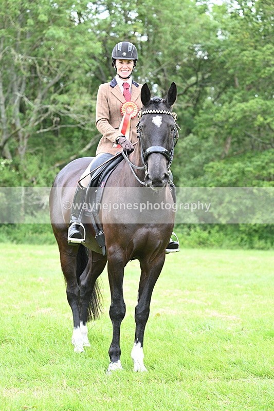 WJ7_4360 - Class 14A Handsome Gelding