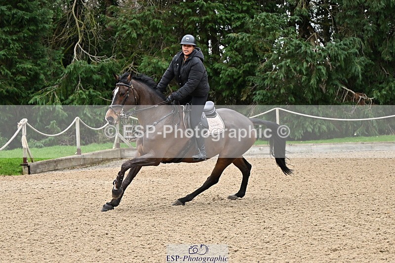 250201A-143001-00962 - Cls 04 Local Horse 120cm