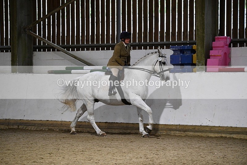WJ5_8831 - Class 15 Ridden Show Horse