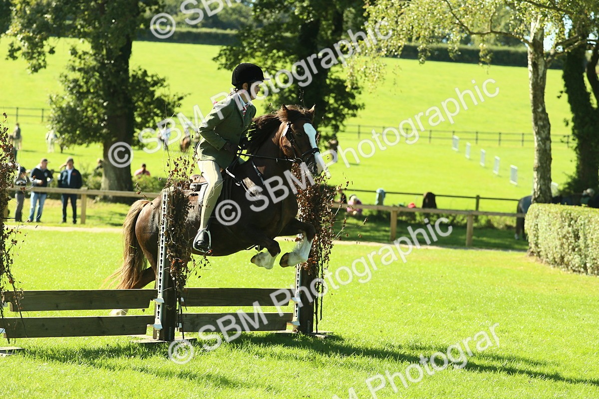 SBM_37458 - S29 - Novice & Newcomers Working Hunter Pony