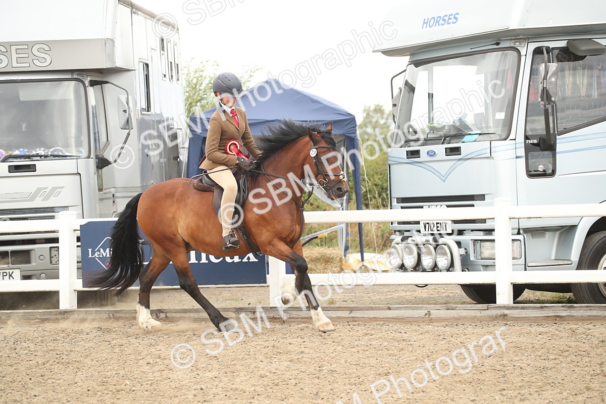 SBM_16844 - Class 507b - Working Veteran 60cm (20+)