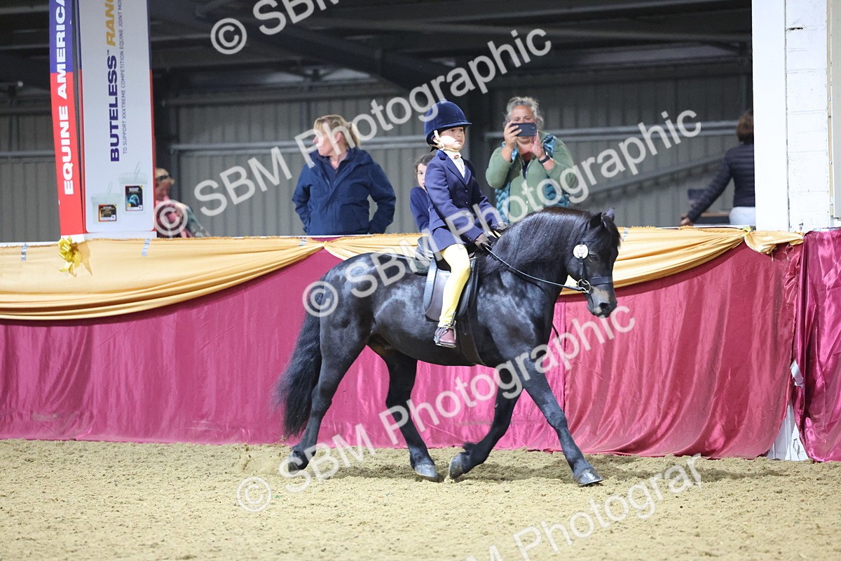 0B8A4663 - Class R Working Veteran Champ