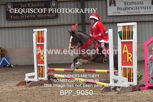 BPP_9050 - CLASS 3 50CM-70CM Pairs Show Jumping