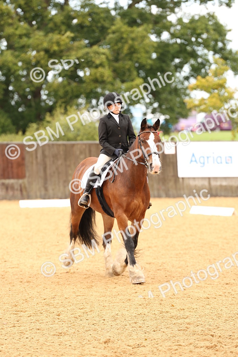 SBM_03432 - D1 - Small Tour Championship Intro 1