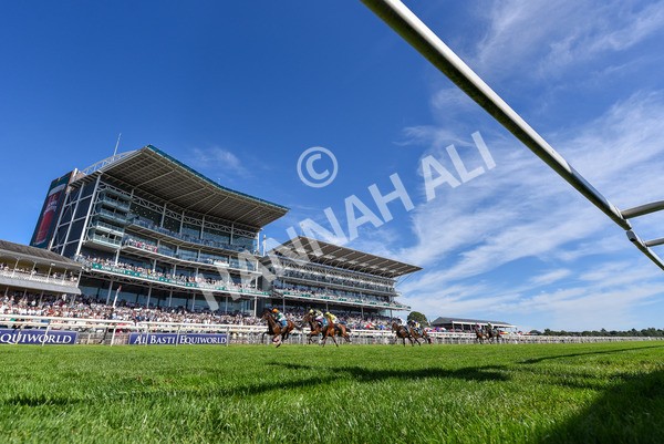 120725-Race 5-Amazing Journey-7144 - Race 5 4.15pm John Smith's Nursery Handicap