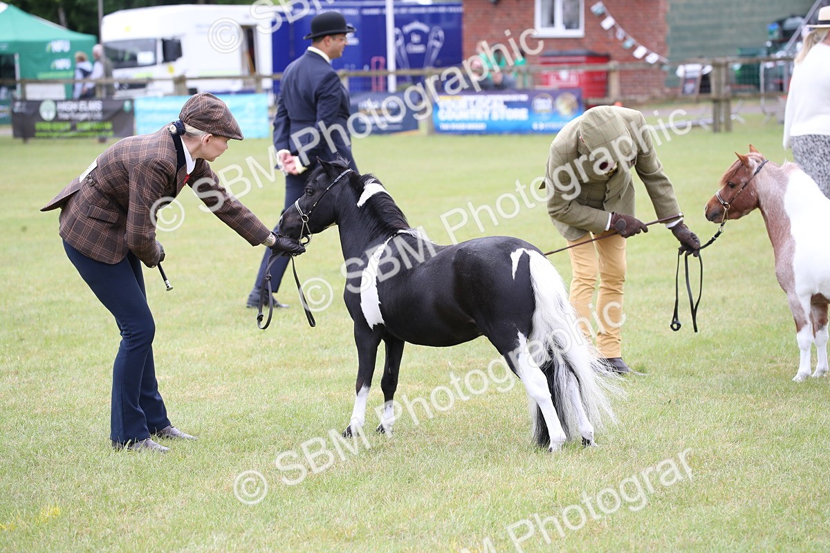 SBM_03823 - Class 23-25 - British Miniature Horse of the Year