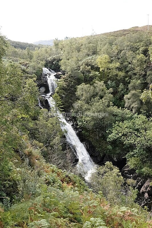 DSC07830 - SEPT 2020 STAYCATION