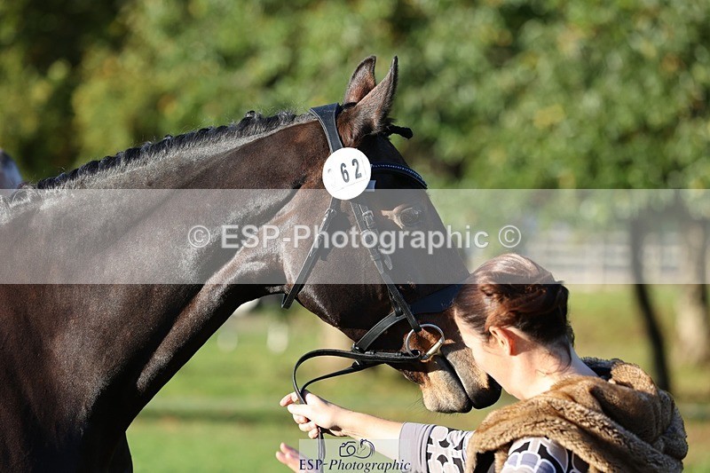 241027-084346-14780 - 362-Vicky.Stacey-HIGHDALE.AUTUMN.SUNRISE