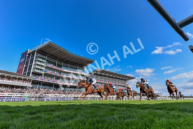 220826-Race 6-Sale Shark-6212 - Race 6 16.45pm Julia Graves Roses Stakes