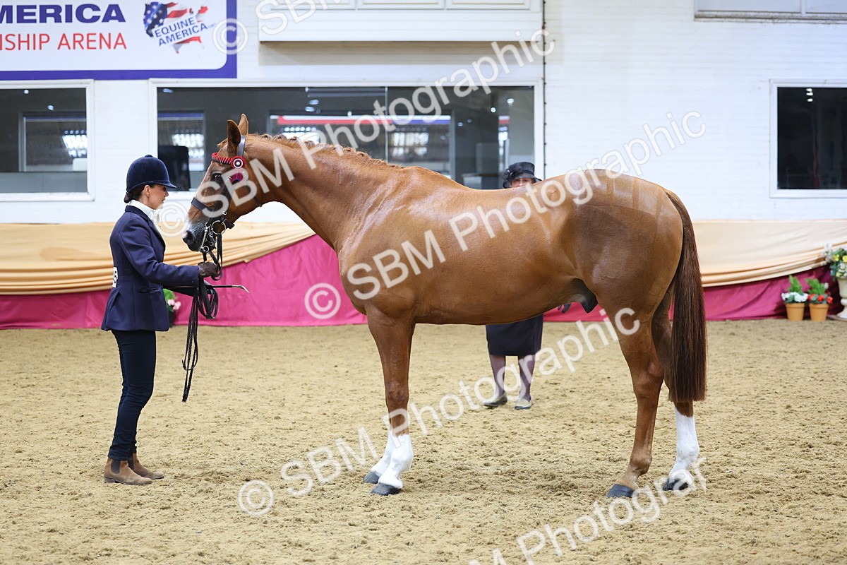 SBM_21080 - Class 902 - Supreme Final IH Veteran
