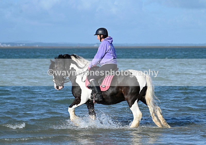 WJ7_2804 - Kellie & Churchill ... do Hayling Island 25-08-24