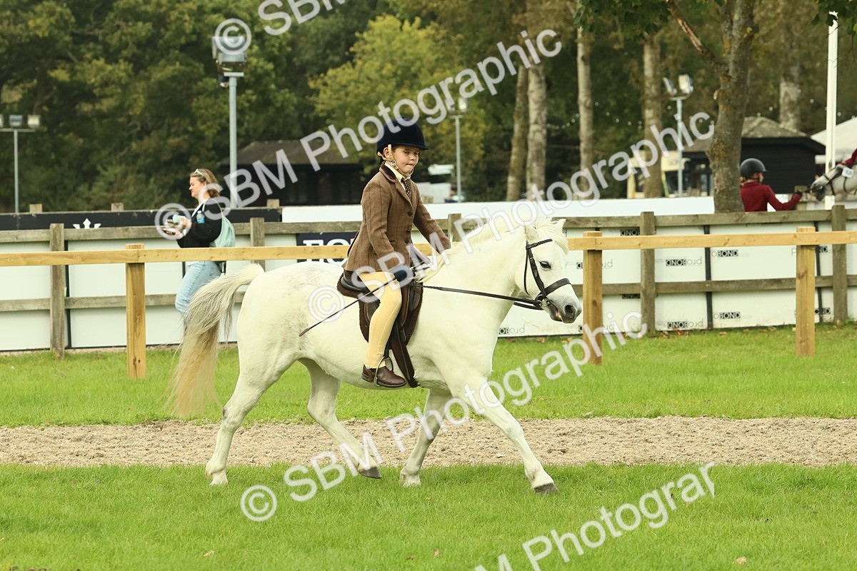 SBM_69931 - S59 - Mountain & Moorland Ridden Small Breeds