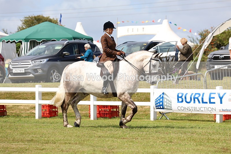 3E7A0162 - Class 6: Rising Star Maxi Cobs