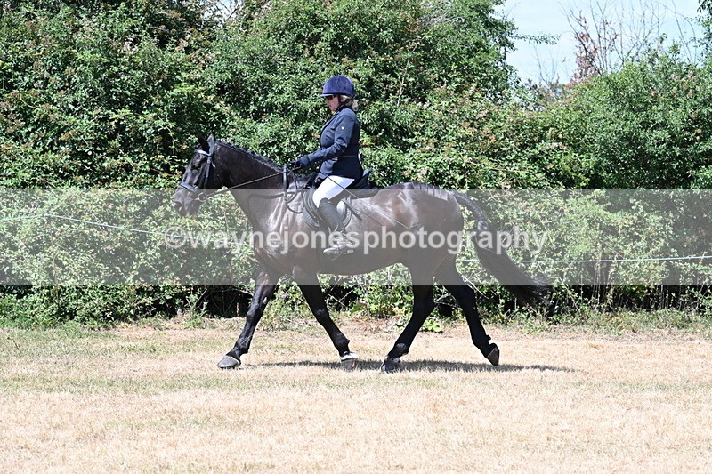 WJ7_2744 - Class 7 Riding Club Show Horse