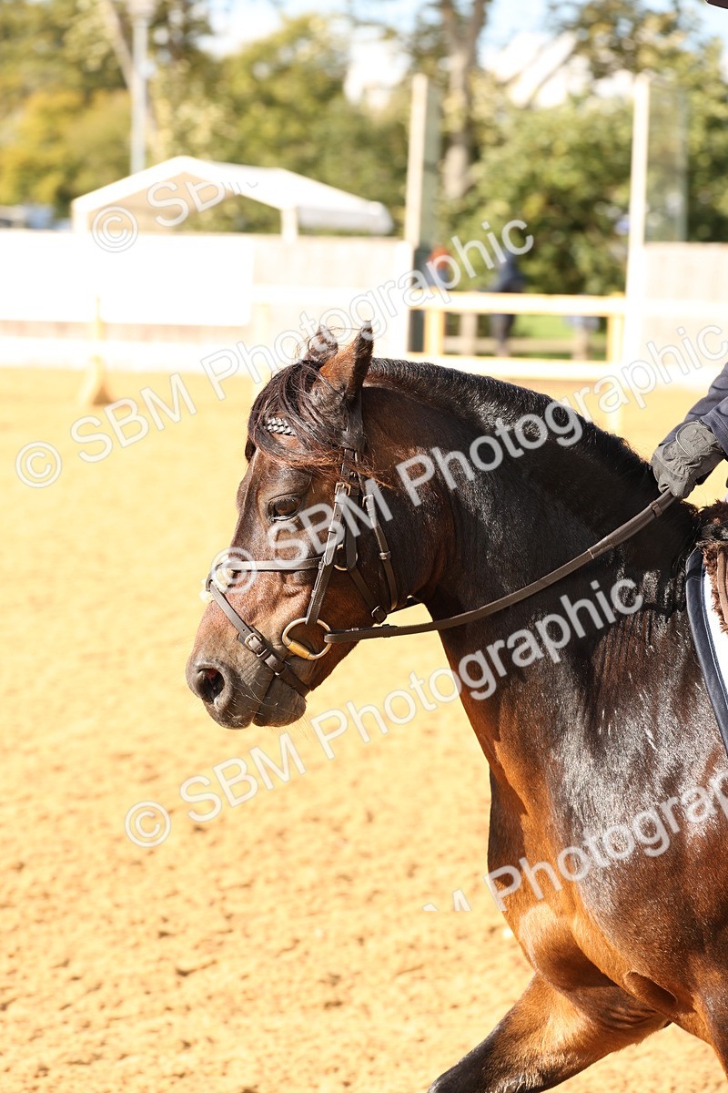 SBM_10677 - D9 - Small Tour Championship Prelim 3