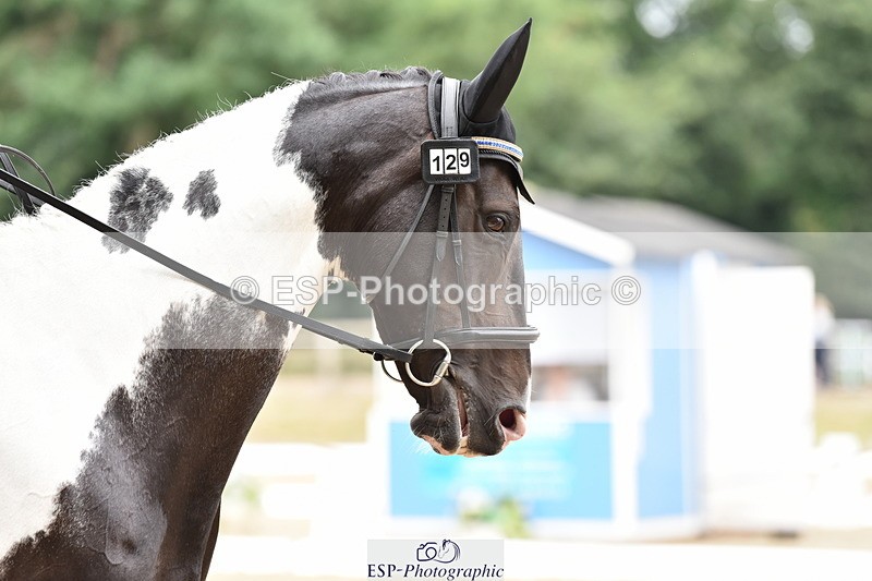 140109A-231716-08423 - 129-Nicole.Windley-Sweetcombe.Huntsmans.Girl