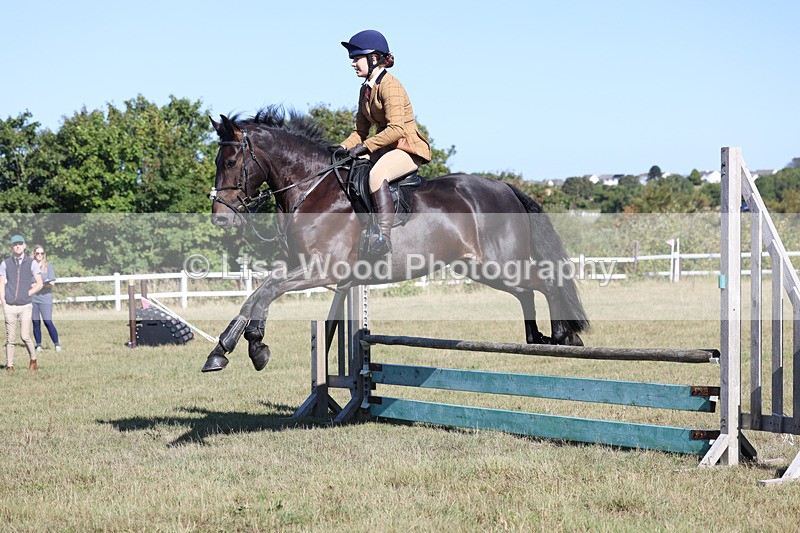 3E7A5482 - Class 3: Working Hunter 70cm