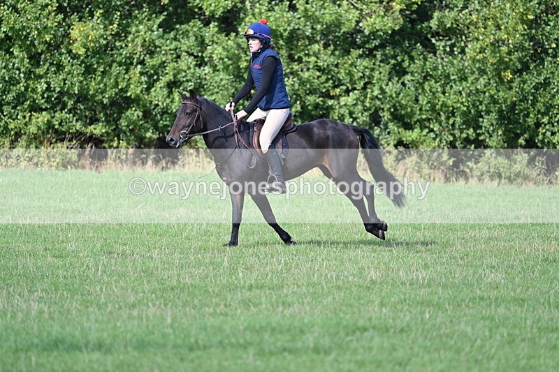 WJ7_1099 - Time 13:56 to 14:24