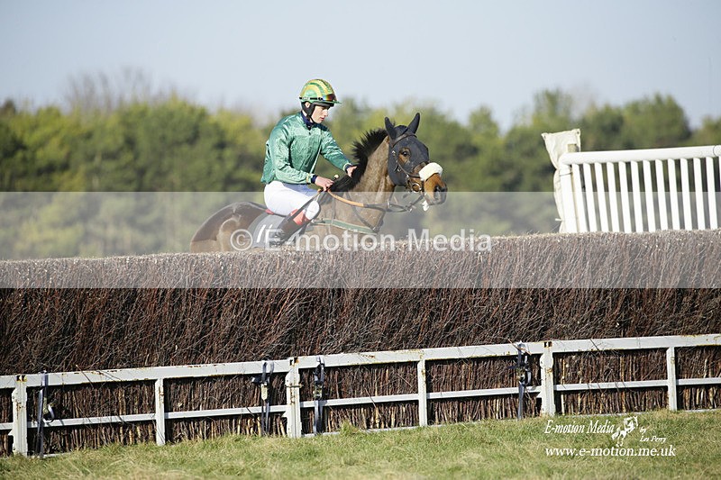 PtP 270222 271 - South & West Wilts Point-to-Point Larkhill 27/02/22