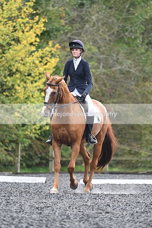 WJ7_6797 - Time 14:49 to 15:14