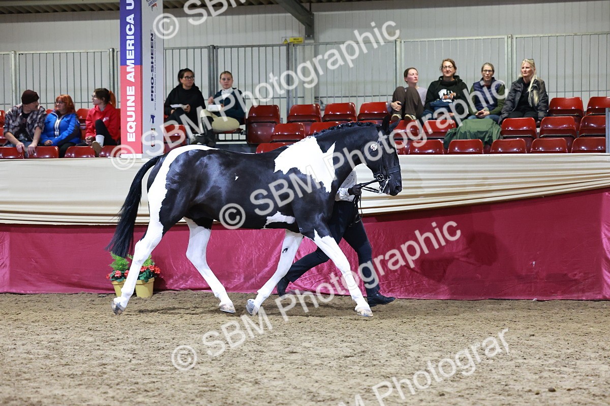 SBM_20820 - Class L - Coloured Champ