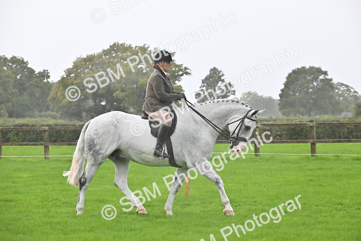 SBM_35684 - S16 - Top Turnout - Ridden