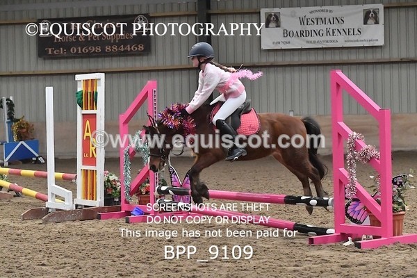 BPP_9109 - CLASS 3 50CM-70CM Pairs Show Jumping